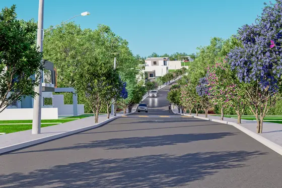 Rua arborizada no Jardim Ecoville